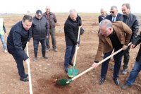 Dinar Organize Sanayi Bölgesine 1000 adet badem fidanı dikildi